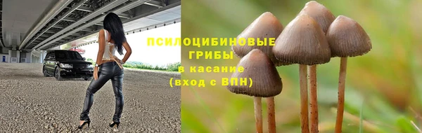 мескалин Сатка