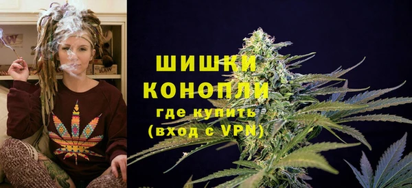 гидропоника Рославль