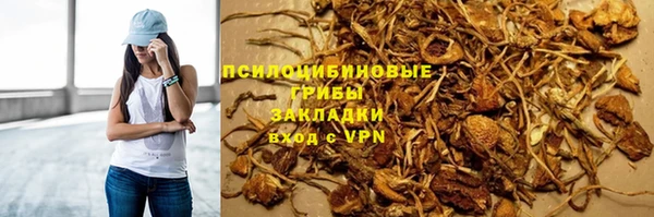 Альфа ПВП Россошь